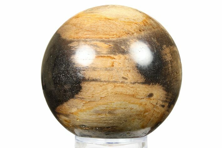 Petrified Wood (Tropical Hardwood) Sphere - Indonesia #266116